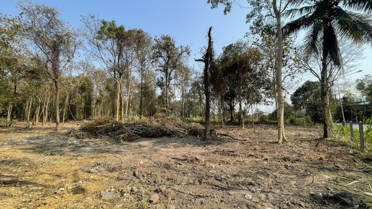 Đất bán ở Mae Rim Thái Lan lô trong giới hạn thành phố 3200m² Mae Rim - ảnh 4