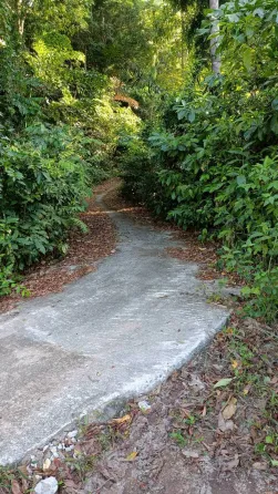 Land in Koh Tao Thailand plot within city limits 1600m²  Koh Tao