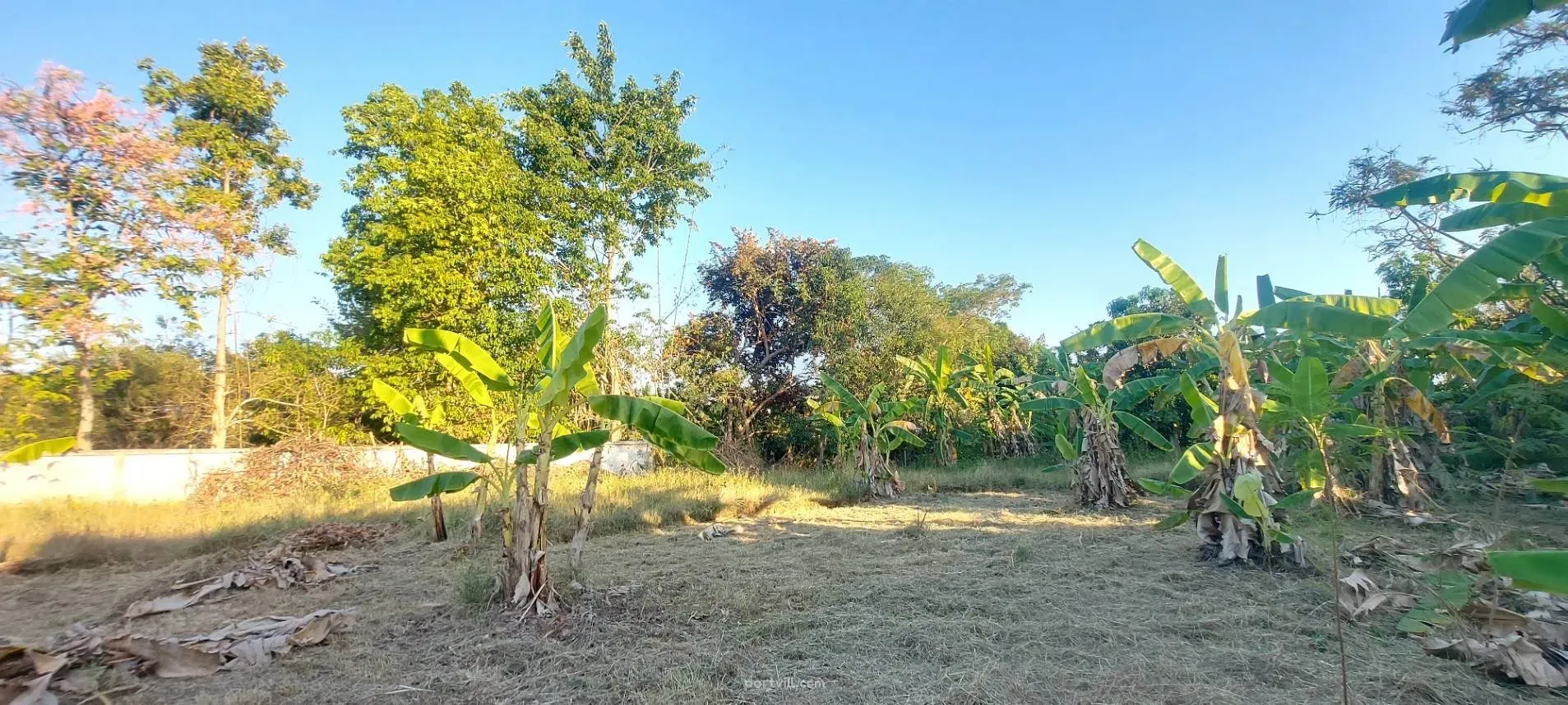 Grond te koop in Saraphi Thailand perceel binnen de stadsgrenzen 1512m² Saraphi - foto 5