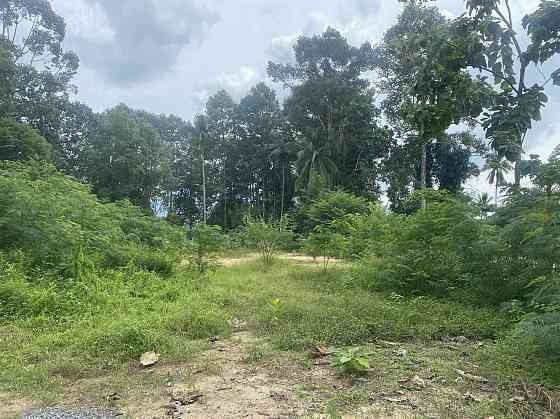 Land by the sea in Ko Samui Thailand plot within city limits 1225m²  Ko Samui