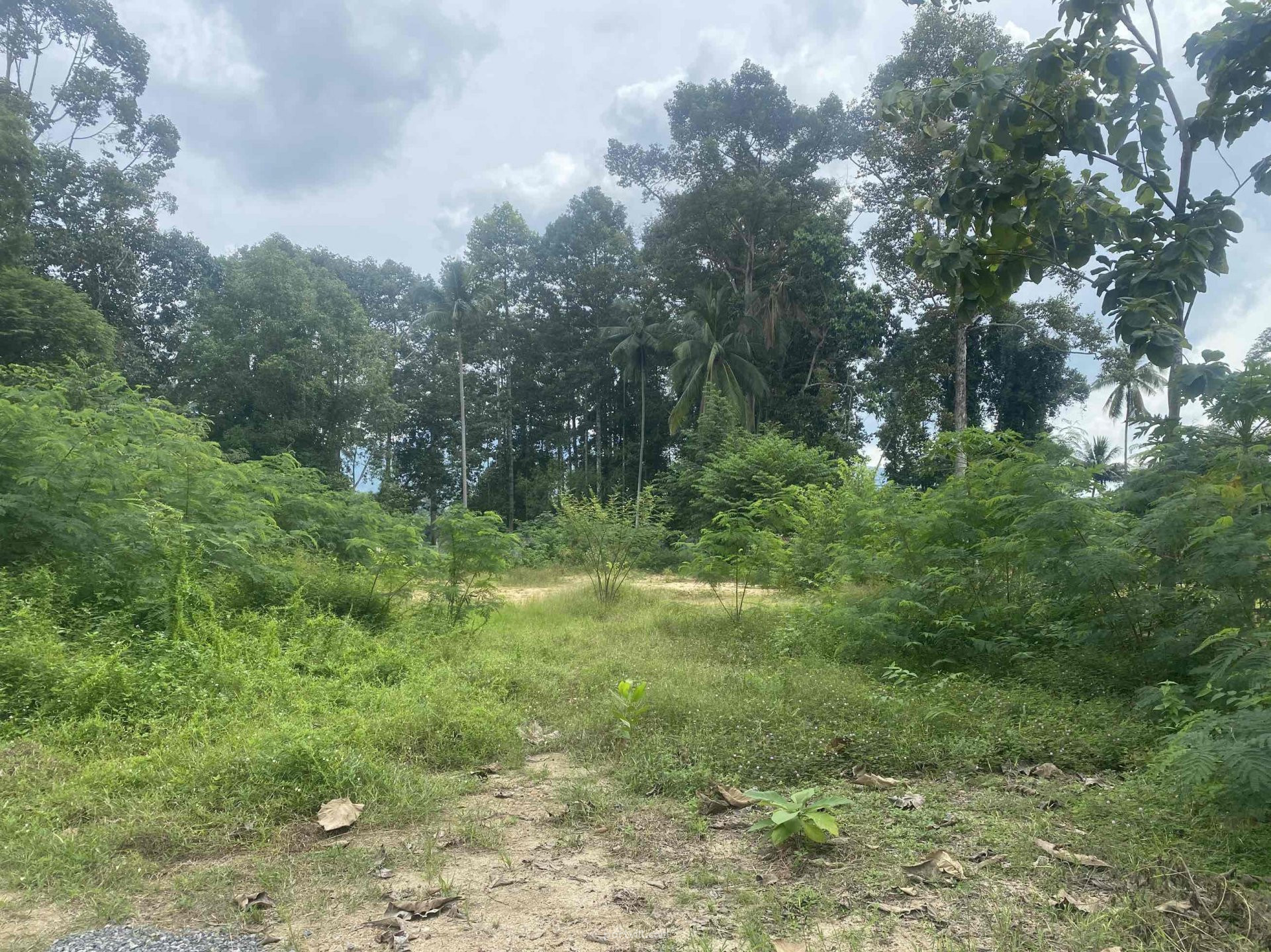 Land by the sea in Ko Samui Thailand plot within city limits 1225m²  Ko Samui - photo 1