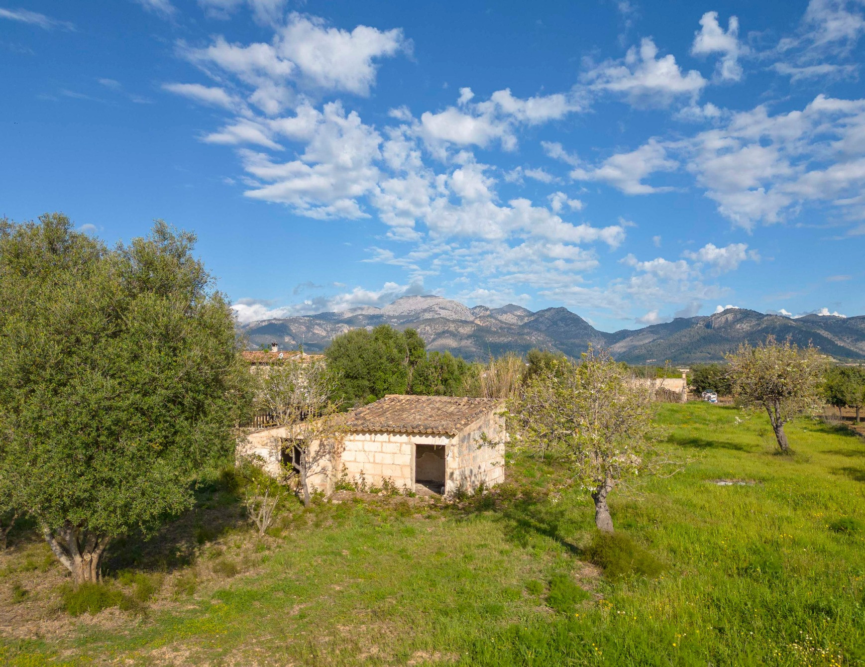 Land in den Bergen in Alcudia Spanien grundstück im Dorf 5870m²  Alcudia - foto 4