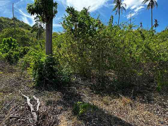 Land by the sea in Ko Samui Thailand plot within city limits 800m²  Ko Samui