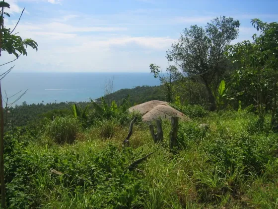 Land by the sea in Koh Tao Thailand plot within city limits 22400m²  Koh Tao