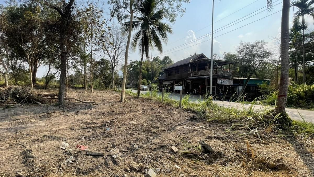 Đất bán ở Mae Rim Thái Lan lô trong giới hạn thành phố 3200m² Mae Rim - ảnh 2