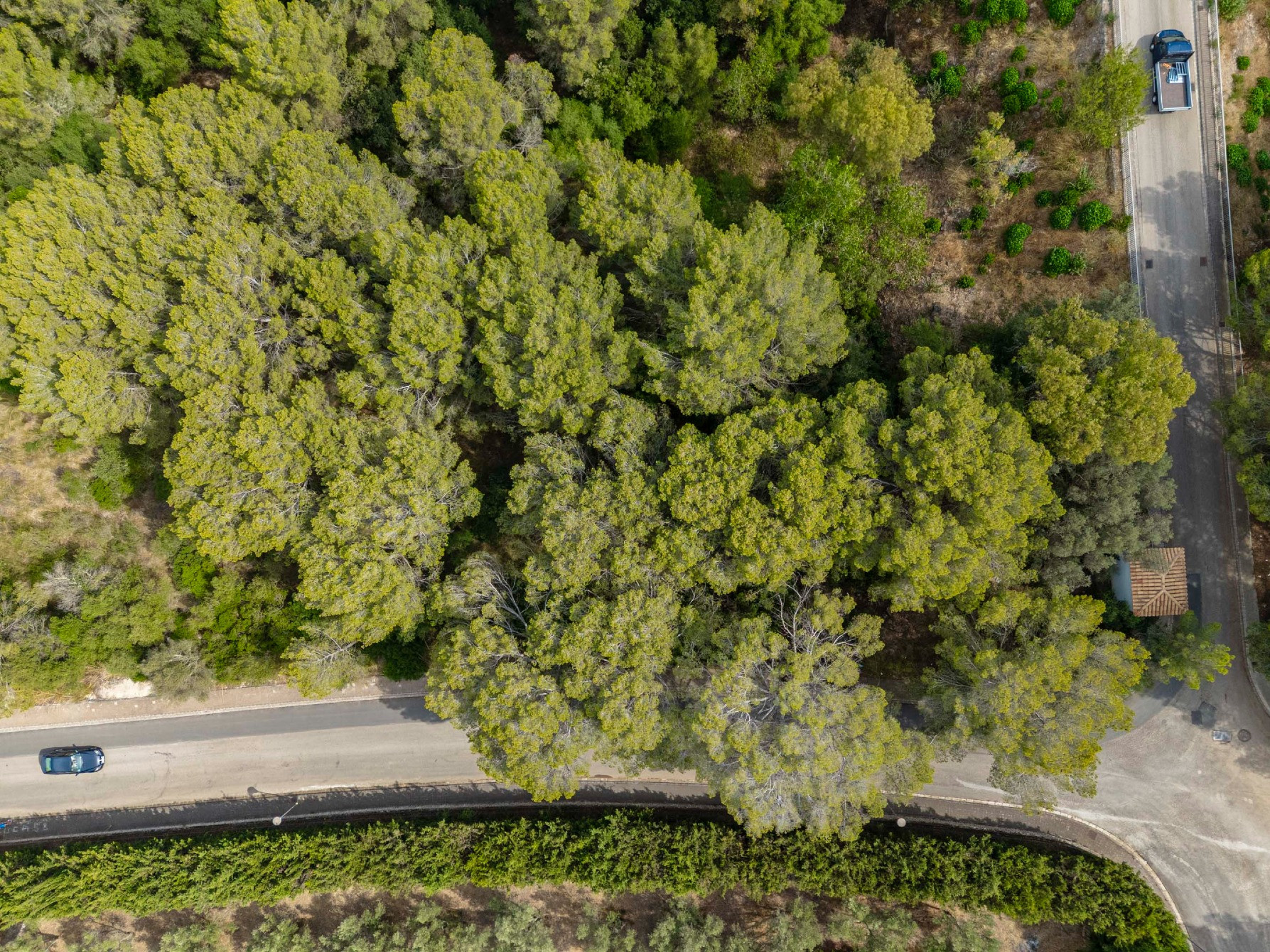 Land by the sea in Alcudia Spain plot within city limits 1367m² Alcudia - photo 3