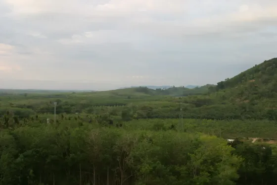 भूमि सागर के किनारे माई खाओ में (Mai Khao) थाईलैंड भूखंड कैम्प स्थल पर 8000मी²  माई खाओ (Mai Khao)