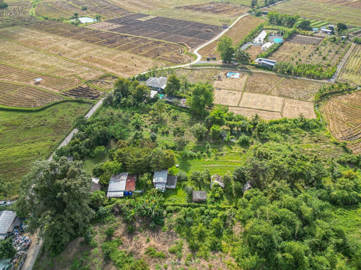 Terrain au centre de Chiang Mai Thaïlande terrain en ville 7741.2m²  Centre de Chiang Mai - photo 4