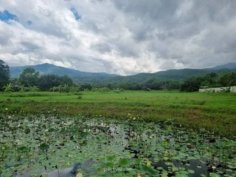Działka na sprzedaż w Mae Rim Tajlandia działka w granicach miasta 35200m² Mae Rim - zdjęcie 9