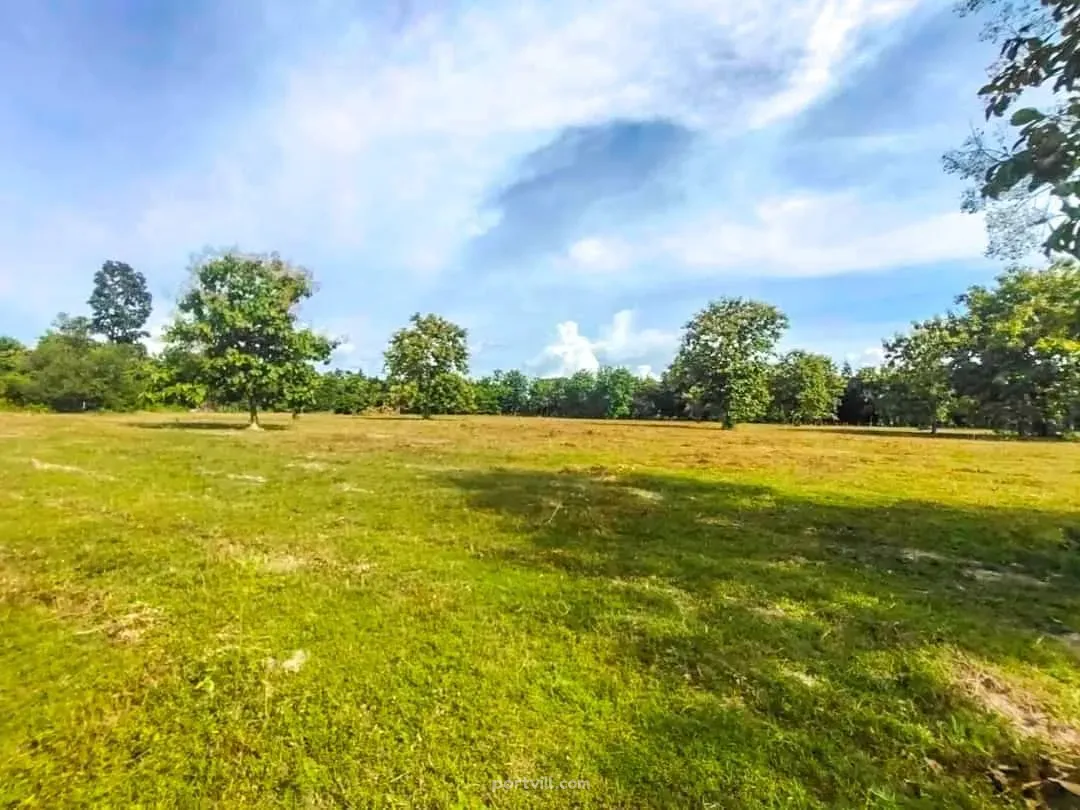 Land in Downtown Chiang Mai Thailand plot within city limits 31888m²  Downtown Chiang Mai - photo 8