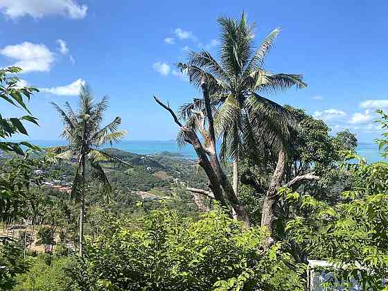 Land by the sea in Ko Samui Thailand plot within city limits 1600m²  Ko Samui
