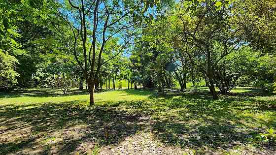 Espaço para armazém {geo.city.in} Tailândia 1550m²  Downtown Chiang Mai