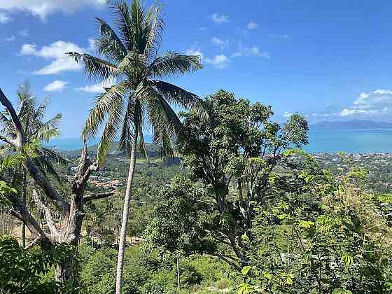 Land by the sea in Ko Samui Thailand plot within city limits 1600m²  Ko Samui