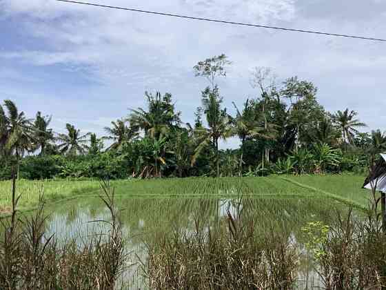 Villa in the mountains in Ubud Indonesia area 150m² 1 floors Ubud
