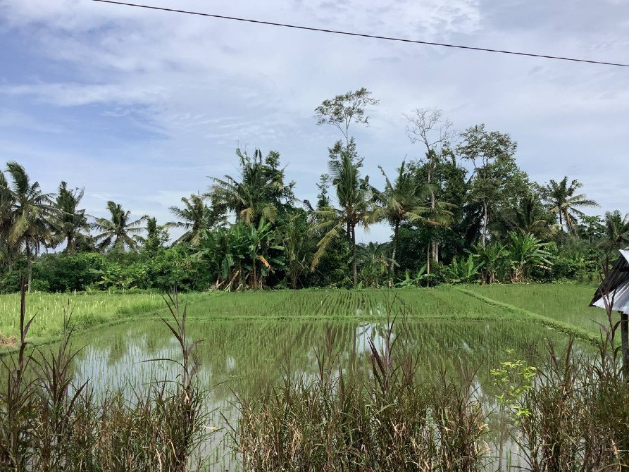 Villa in the mountains in Ubud Indonesia area 150m² 1 floors Ubud - photo 6