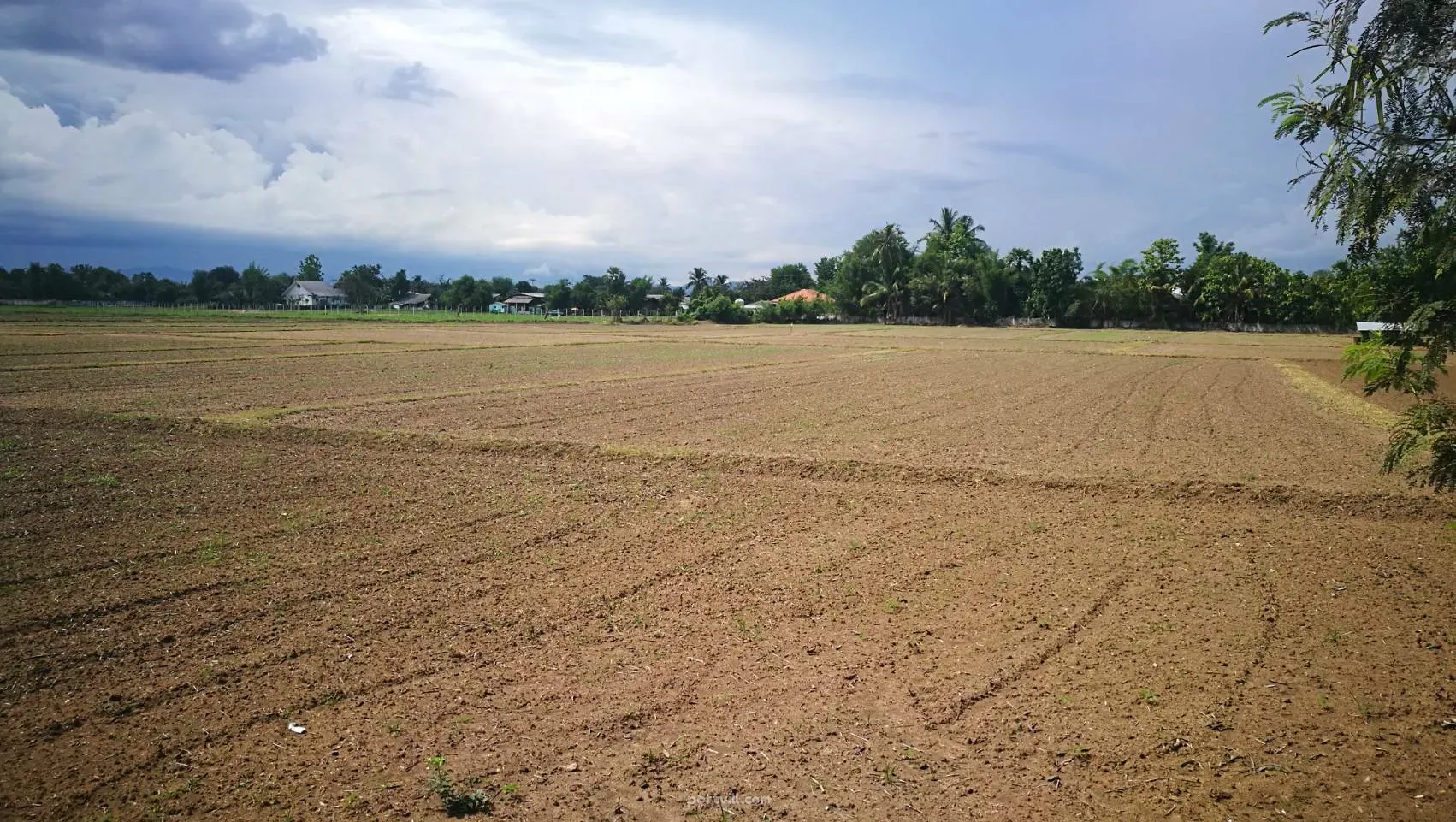 Земля на продажу в Санкампхенге (San Kamphaeng) Таиланд участок в пределах города 32776м² Санкампхенг (San Kamphaeng) - изображение 1