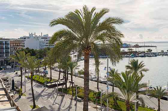 Apartment 5-room 4+1 in Alcudia Spain area 1235m² 4 floor Alcudia