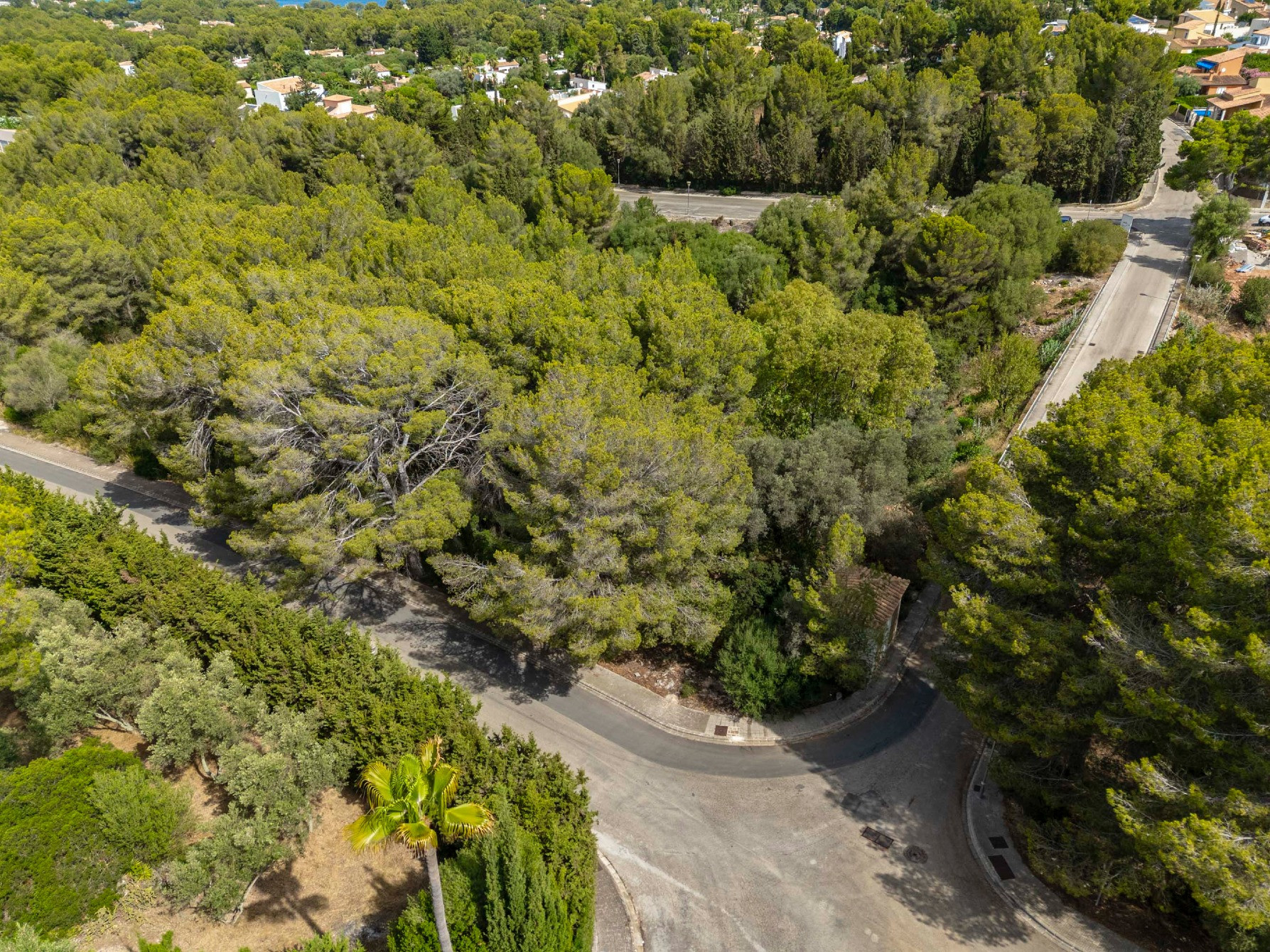 Land by the sea in Alcudia Spain plot within city limits 1367m² Alcudia - photo 5