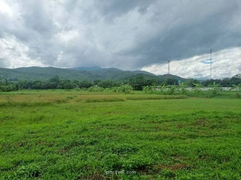 Działka na sprzedaż w Mae Rim Tajlandia działka w granicach miasta 35200m² Mae Rim - zdjęcie 5