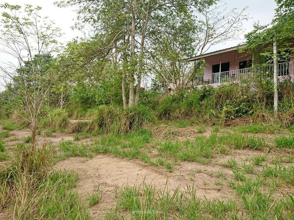 أرض للبيع في هوا هين (Hua Hin) تايلاند قطعة داخل المدينة 24000م² هوا هين (Hua Hin) - صورة 4