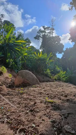 Land in Koh Tao Thailand plot within city limits 1600m²  Koh Tao