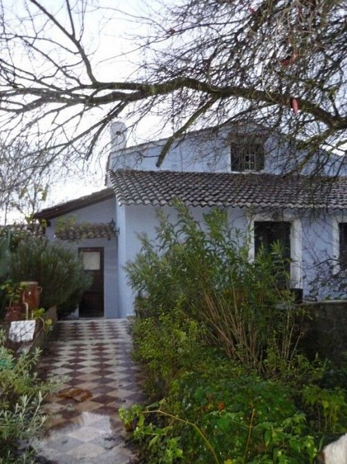 Pondok dijual di hutan di Korfu (Kerkyra) Yunani luas 962m²  Korfu (Kerkyra) - foto 11