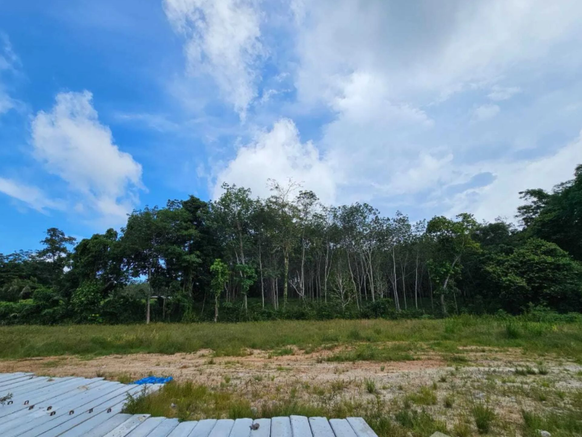 Terreno vicino al mare a Choeng Thale Thailandia lotto al resort 4383m²  Choeng Thale - foto 7