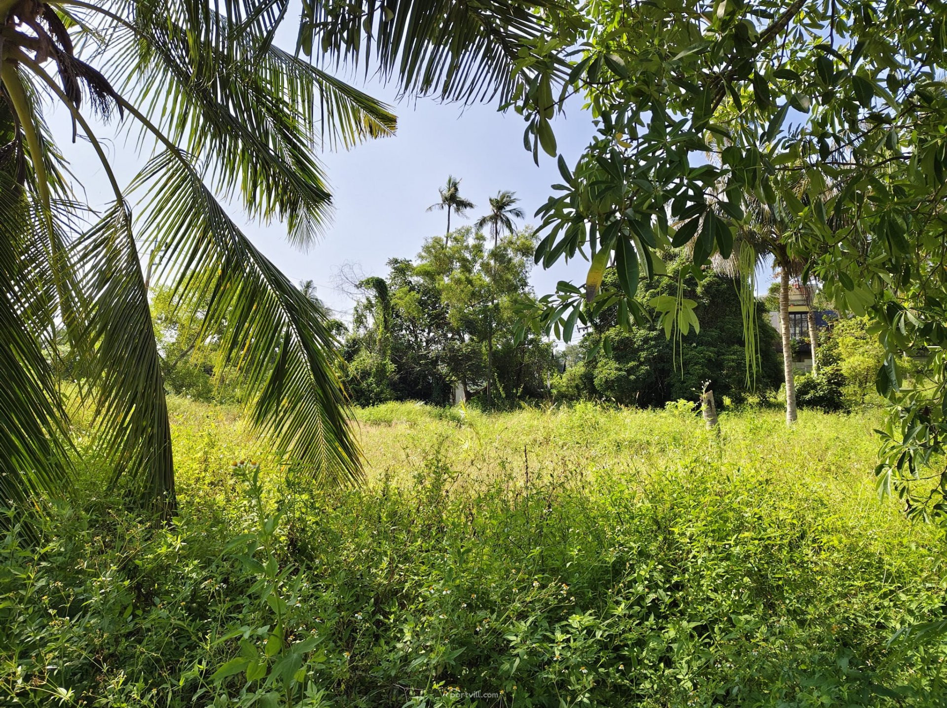 Land by the sea in Ko Samui Thailand plot within city limits 6500m²  Ko Samui - photo 3
