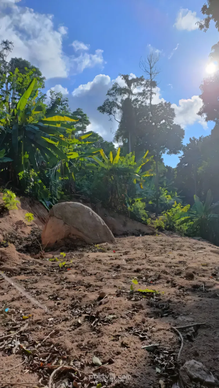 أرض في كوه تاو (Koh Tao) تايلاند قطعة داخل المدينة 1600م²  كوه تاو (Koh Tao) - صورة 4
