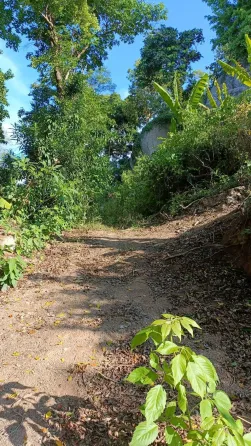 Land in Koh Tao Thailand plot within city limits 1600m²  Koh Tao