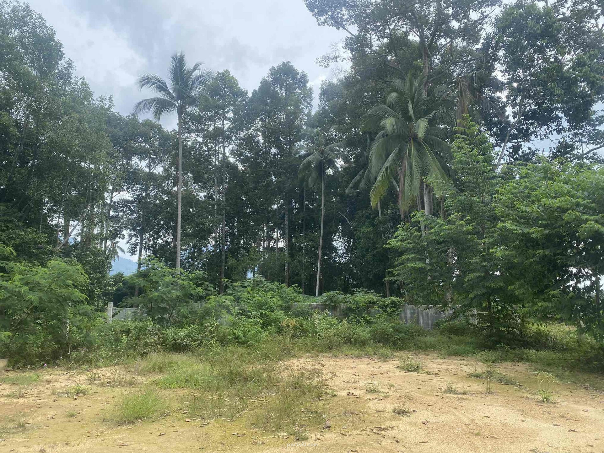 Land by the sea in Ko Samui Thailand plot within city limits 1225m²  Ko Samui - photo 4
