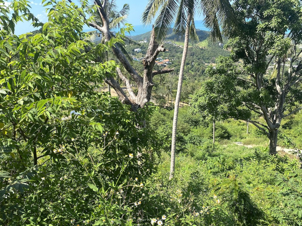 Land by the sea in Ko Samui Thailand plot within city limits 1600m²  Ko Samui - photo 8