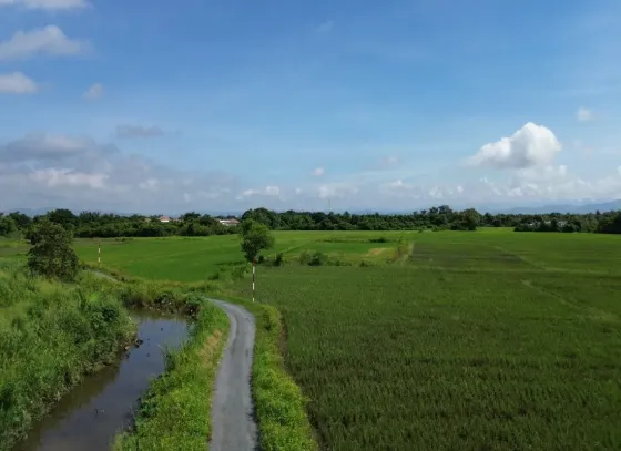 Terreno {geo.city.in} Tailândia lote dentro dos limites da cidade 182400m²  Downtown Chiang Mai