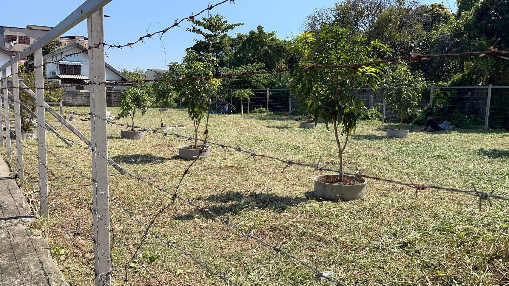 زمین در مرکز بانکوک (Downtown Bangkok) تایلند قطعه در محدوده شهر 800م²  مرکز بانکوک (Downtown Bangkok) - عکس 3