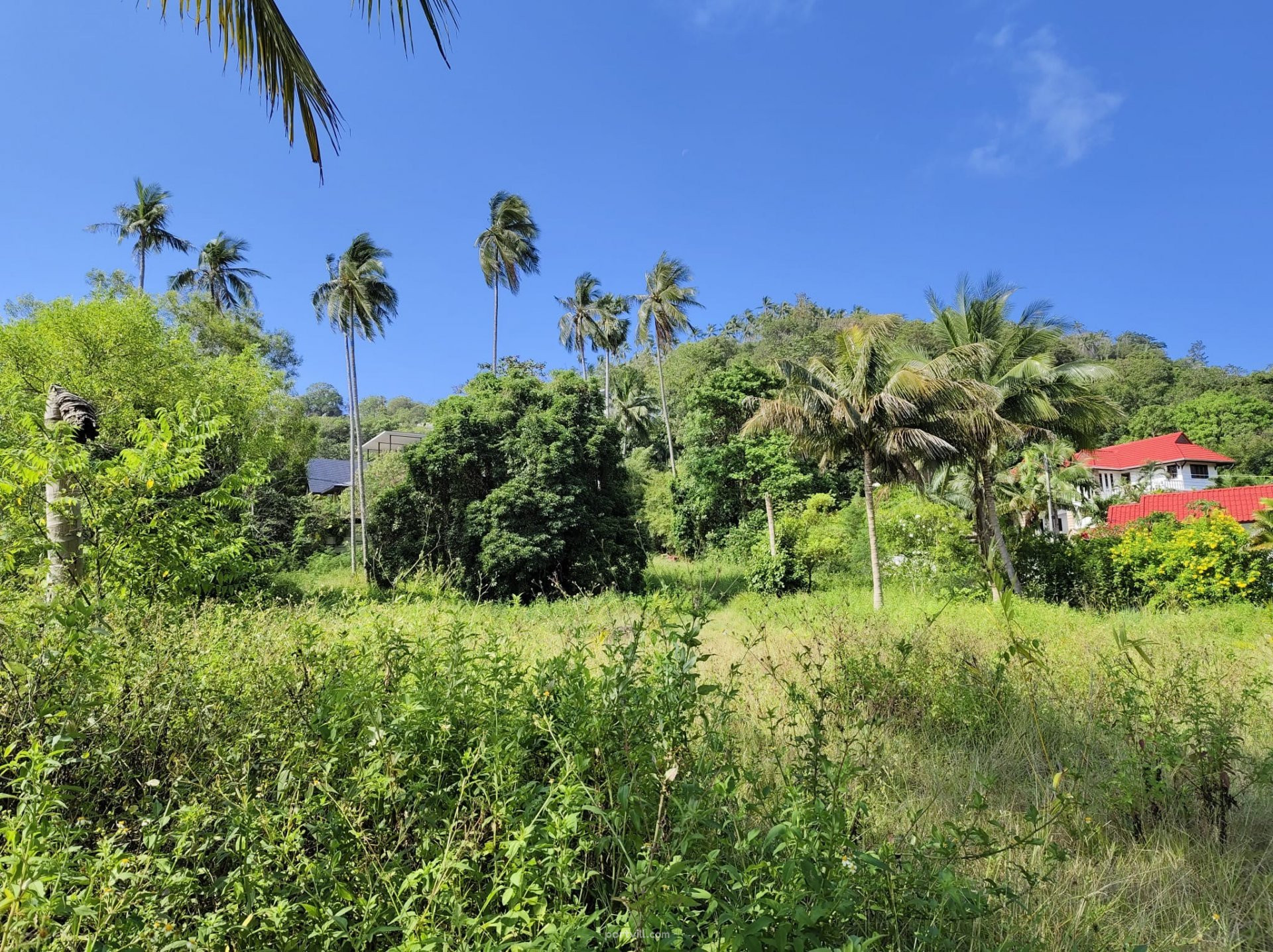 Land by the sea in Ko Samui Thailand plot within city limits 6500m²  Ko Samui - photo 4