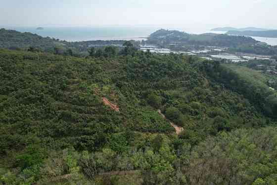 Land in the mountains in Phuket Town Thailand plot within city limits 36874m² Phuket Town
