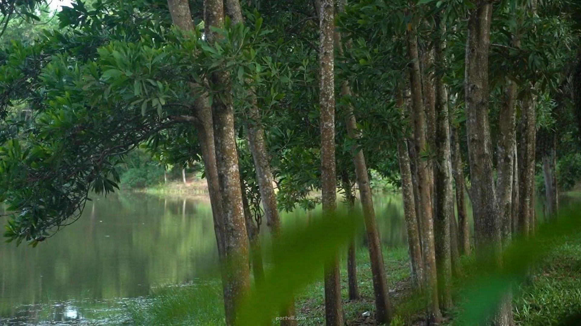 Land in Ko Phangan Thailand plot within city limits 48000m²  Ko Phangan - photo 4