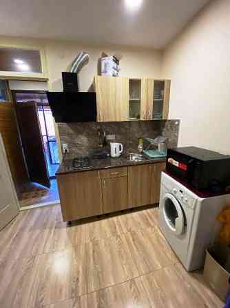 Apartment 2-room for rent 1+1 in Tbilisi (Krtsanisi) 55m² 1 floor Tbilisi