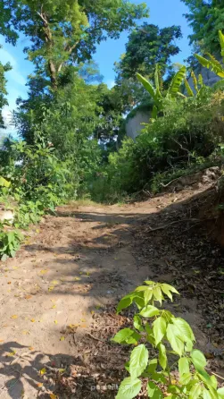 Land in Koh Tao Thailand plot within city limits 1600m² Koh Tao