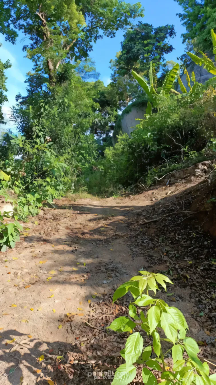 أرض في كوه تاو (Koh Tao) تايلاند قطعة داخل المدينة 1600م²  كوه تاو (Koh Tao) - صورة 3