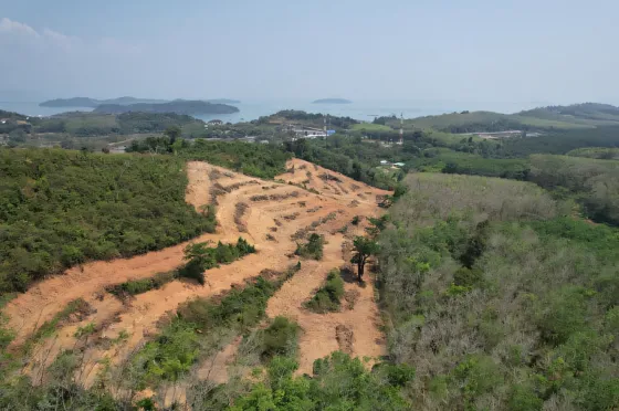 Γη στα βουνά στο Πουκέτ Τάουν (Phuket Town) Ταϊλάνδη οικόπεδο εντός της πόλης 36874τ.μ.  Πουκέτ Τάουν (Phuket Town)