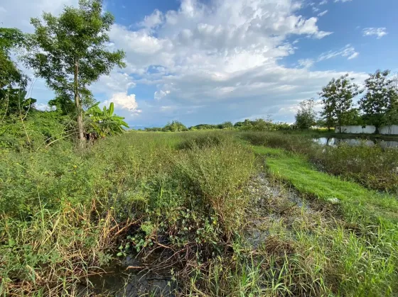 Działka na sprzedaż w San Kamphaeng Tajlandia działka w granicach miasta 14884m² San Kamphaeng