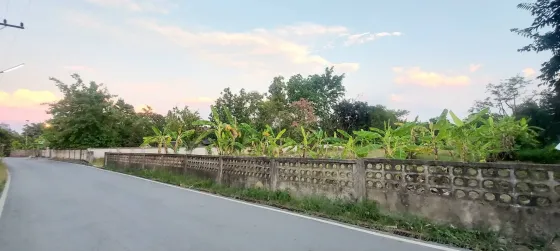 Działka na sprzedaż w Saraphi Tajlandia działka w granicach miasta 1512m² Saraphi