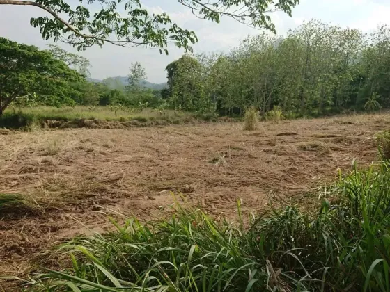 Satılık arsa Hua Hin'de Tayland arsa şehir içinde 24000m² Hua Hin