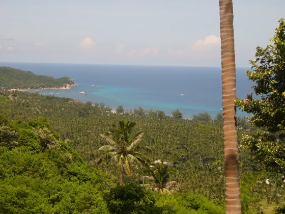Land by the sea in Koh Tao Thailand plot within city limits 22400m²  Koh Tao