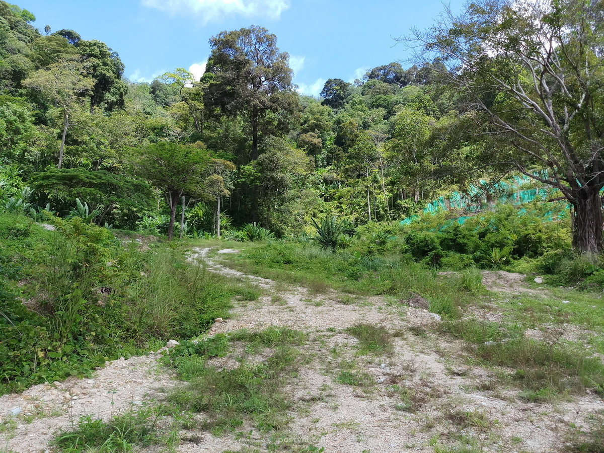 Земя на море в Патонг (Patong) Тайланд парцел на курорт 42232м²  Патонг (Patong) - снимка 3