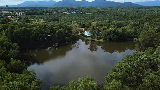 Land in Ko Phangan Thailand plot within city limits 48000m²  Ko Phangan