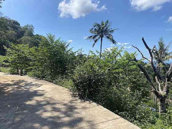 Land by the sea in Ko Samui Thailand plot within city limits 1600m²  Ko Samui