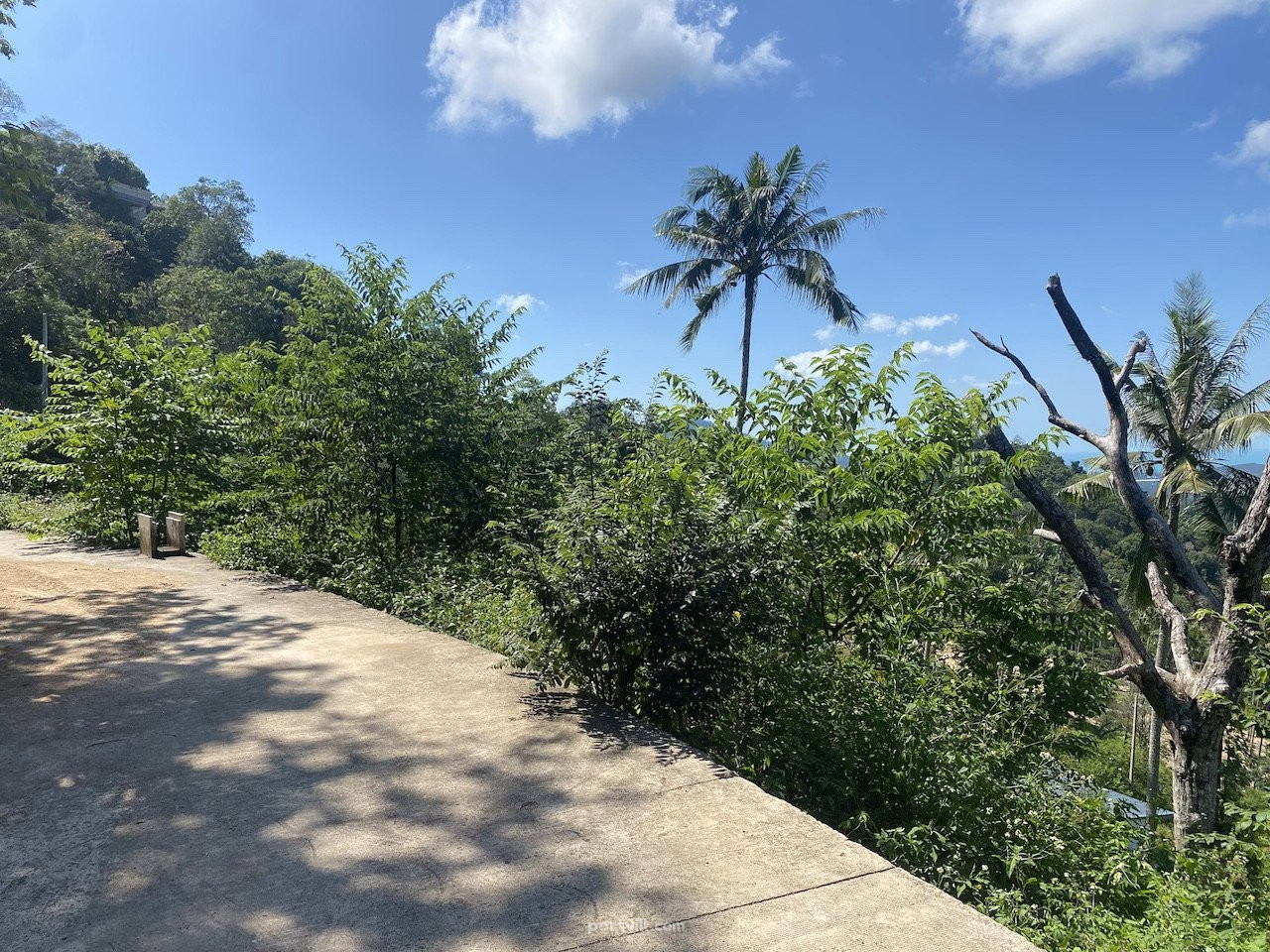 Land by the sea in Ko Samui Thailand plot within city limits 1600m²  Ko Samui - photo 3