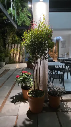 बिक्री के लिए खुदरा स्थान हिन लेक फाई में (Hin Lek Fai) थाईलैंड 75m² हिन लेक फाई (Hin Lek Fai)